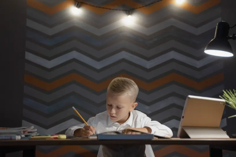 One Lamp, One Subject, One Hour: What Happened to the American Kid Who Actually Studied